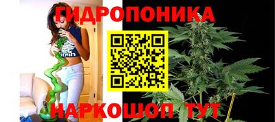 каннабис Бузулук