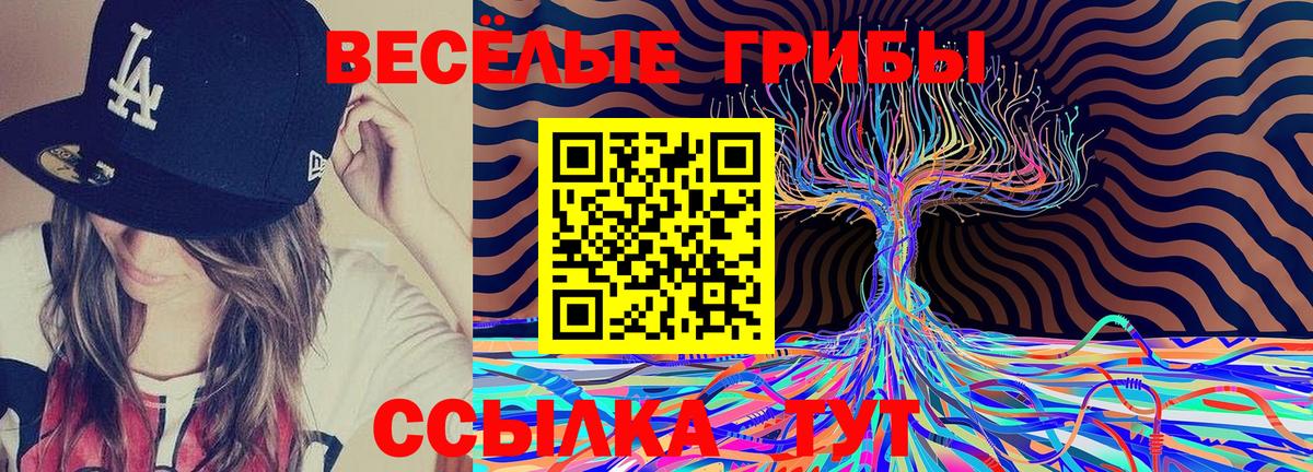 Маркс  Псилоцибиновые грибы мицелий  Вход с VPN 