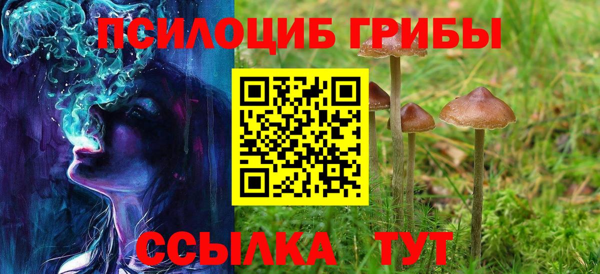 Псилоцибиновые грибы Psilocybe Маркс